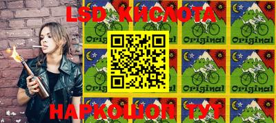 ALPHA PVP Камышлов