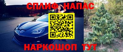 гашик Канаш