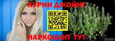 ALPHA PVP Камышлов
