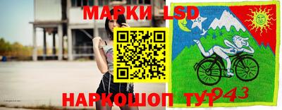 ALPHA PVP Камышлов