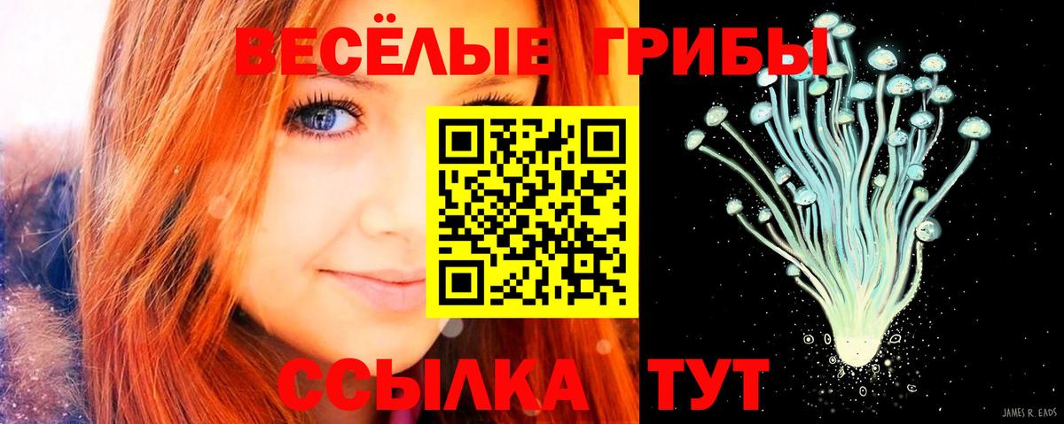 Мурманск  Псилоцибиновые грибы MAGIC MUSHROOMS  Галлюциногенные грибы GOLDEN TEACHER  Вход с VPN 