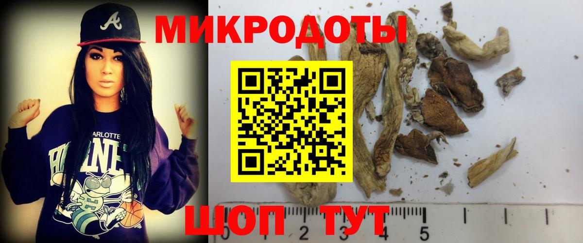 Галлюциногенные грибы GOLDEN TEACHER Мурманск